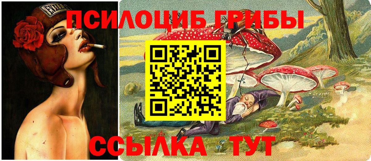Сатка  Галлюциногенные грибы Magic Shrooms  дарнет шоп  Псилоцибиновые грибы Psilocybe  Вход с VPN 
