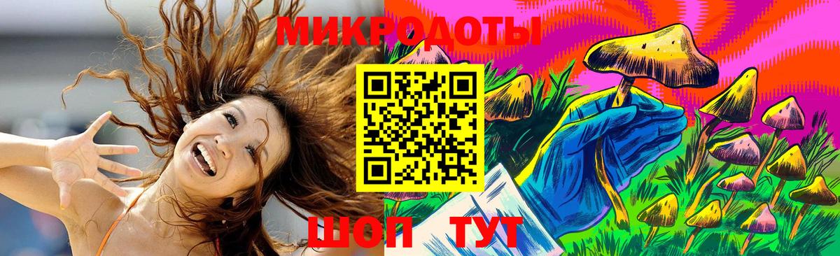 Псилоцибиновые грибы мицелий Сатка